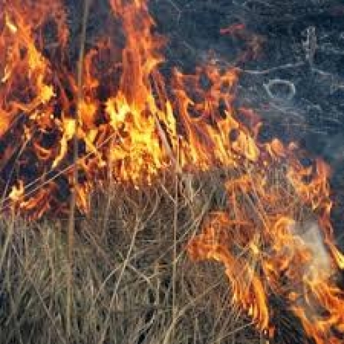 Kūlas dedzināšana apdraud cilvēka dzīvību, īpašumu un apkārtējo vidi