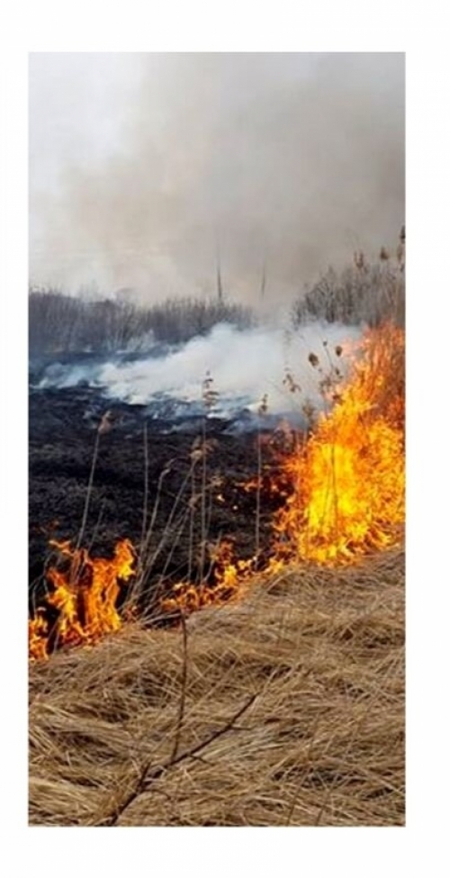 Lai pavasarī nedegtu kūla, rudenī jāsakopj savs īpašums